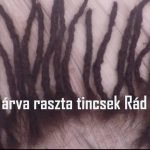 Read more about the article Raszta toldás elkészítése