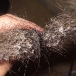 Read more about the article Raszta wax
